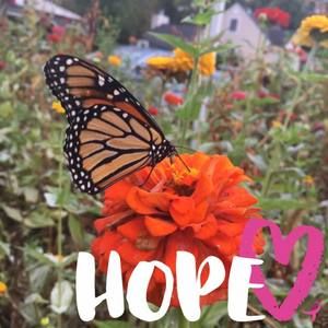 Meet your Posher, Elizia